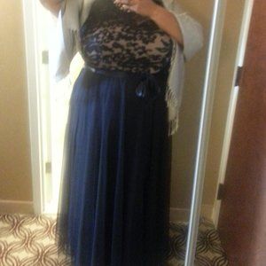 Alex Evenings Navy Blue Tulle Dress, Size 22W